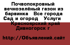 Почвопокровный, вечнозелёный газон из барвинка - Все города Сад и огород » Услуги   . Красноярский край,Дивногорск г.